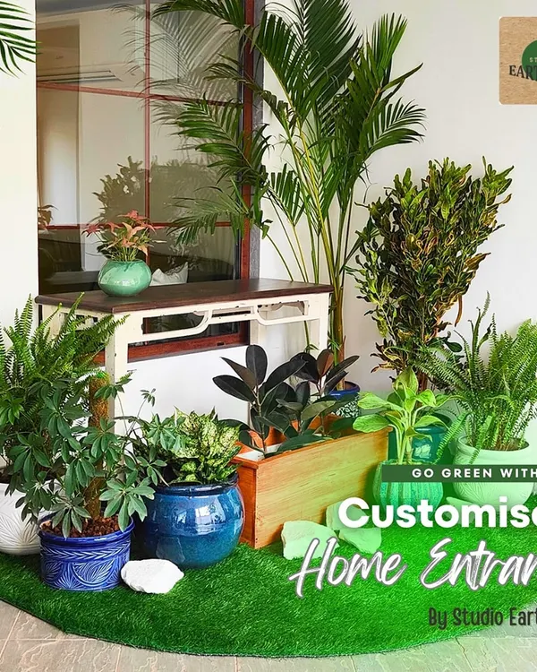 This customized home entrance features a curated collection of indoor and semi-shade plants in blue and white ceramic pots. The arrangement on an artificial grass patch adds a pop of color and life right at the front door.