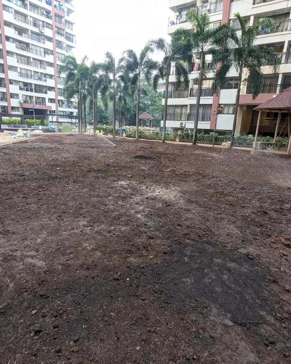 Before laying the turf, we ensure the ground is perfectly leveled and watered. This is the 6,500 sq. ft. site at Maple Leaf, Raheja Vihar, ready for its transformation.