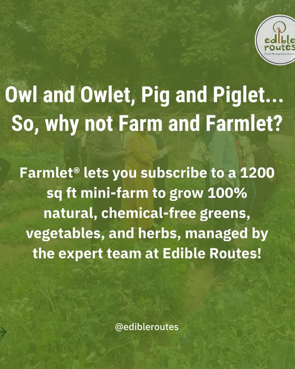Why a Farmlet? It's your own personal mini-farm, without the hassle. We provide the land and the expertise; you get to enjoy the experience and the harvest of 100% natural, chemical-free vegetables and herbs.