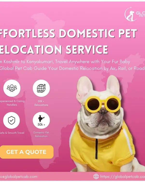 An overview of our effortless domestic pet relocation services. From Kashmir to Kanyakumari, we offer safe and smooth travel for your fur baby by air, rail, or road.