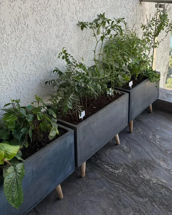 These modern, elevated planters are perfect for a balcony herb and vegetable garden, keeping plants at a convenient height for care and harvesting.