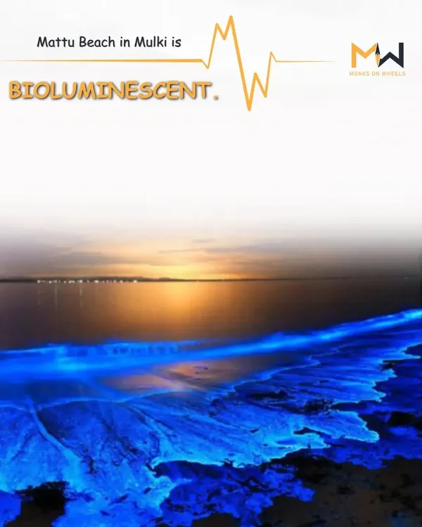 Did you know Mattu Beach in Mulki is bioluminescent? I take you to witness this magical natural phenomenon where the waves glow in the dark.