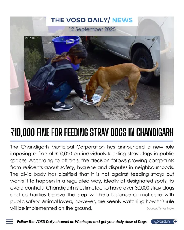 Chandigarh's Municipal Corporation has imposed a ₹10,000 fine for feeding stray dogs in non-designated public spaces. This move aims to balance animal care with public safety, but its implementation will be watched closely by animal lovers.