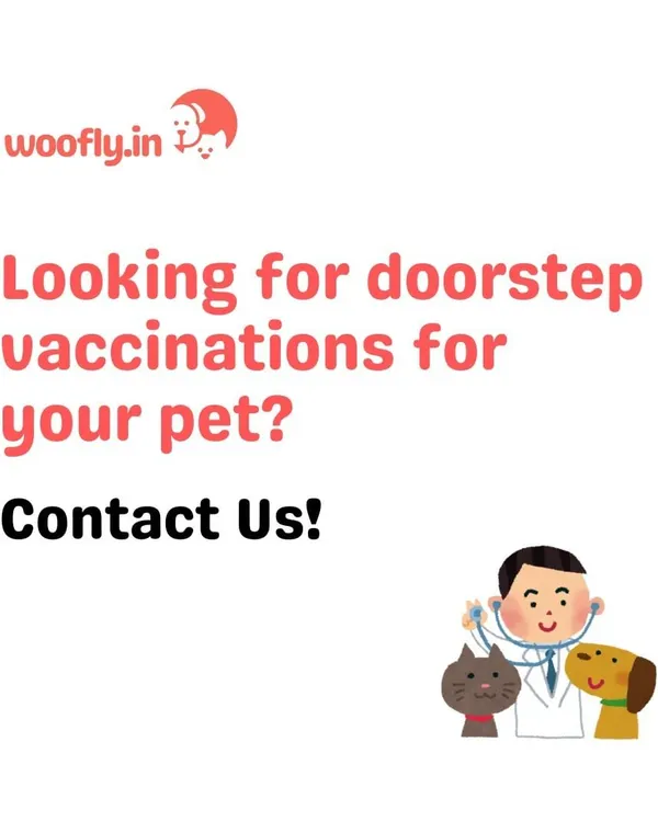 Looking for a stress-free way to keep your pet's vaccinations up to date? I provide complete in-home vaccination services for dogs and cats, making vet care convenient for you and comfortable for your pet.