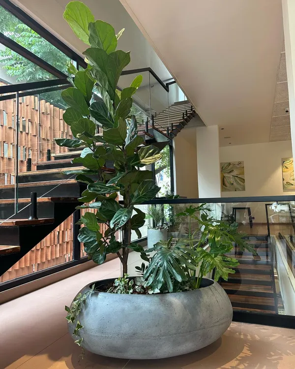 My large 'Luna' planter in a chic grey finish, perfectly anchoring a modern interior with its smooth, clean form.