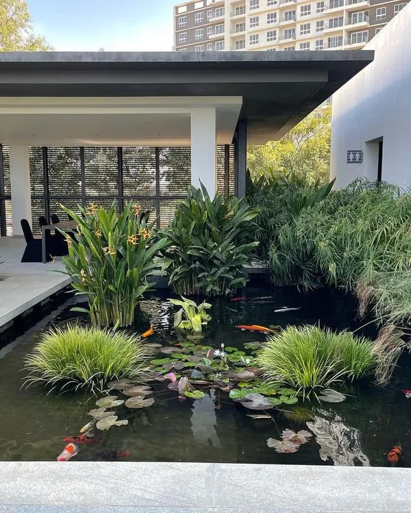 This koi pond is a perfect example of a signature water feature. I designed it to be a complete ecosystem, ensuring water clarity and fish health while creating a peaceful and luxurious focal point for the property.