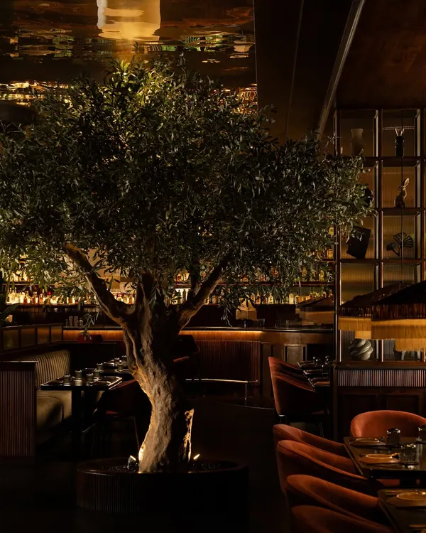 An olive tree stands as the soulful centerpiece of the restaurant, its organic form a natural sculpture against the dark, moody interior. The mirrored ceiling reflects the scene, creating an illusion of an endless, enchanted grove.