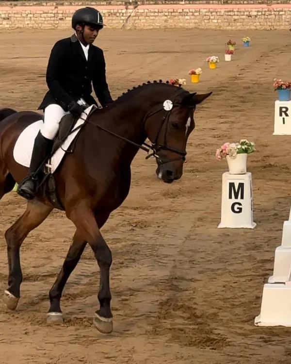 A rider performs a dressage test at the FEI World Dressage Challenge. This image captures the elegance and concentration required for high-level dressage competition.
