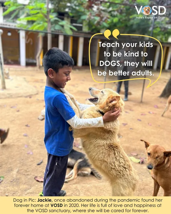 Teaching children to be kind to dogs helps them become better adults. Here, a young visitor shares a moment with Jackie, a dog abandoned during the pandemic who found her forever home with us in 2020.