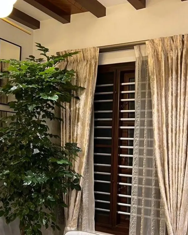 This tall Ficus tree is a great example of a statement plant. Placed by a window, it gets the light it needs and transforms the entire feel of the room, adding height and a sense of calm.