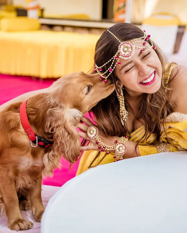 A bride shares a laugh as her cocker spaniel gives her an affectionate lick during the Haldi ceremony. This is a perfect, candid moment of love between a girl and her dog.