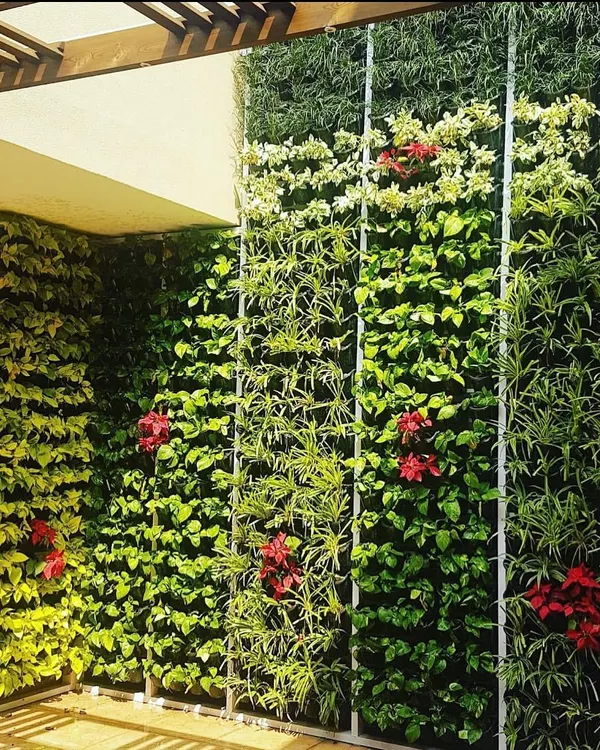 A balcony doesn't have to be a boring, empty space. Here is a full vertical garden wall I installed for a client, turning their outdoor area into a private green sanctuary with a mix of leafy plants and colorful flowers.