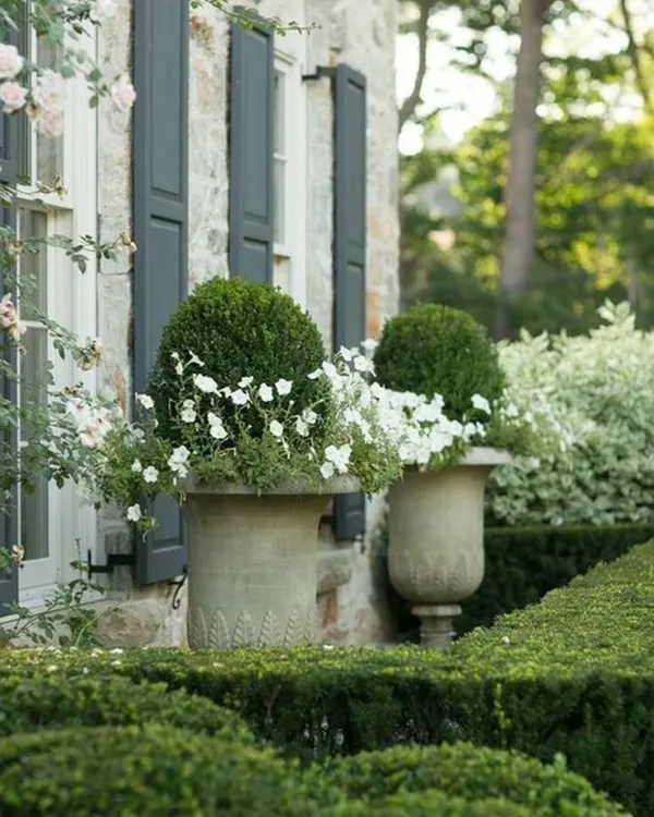 For a classic and formal garden style, we use elements like these elegant stone urns. They are planted with clipped boxwood spheres and trailing white flowers, creating a timeless and sophisticated entrance accent.