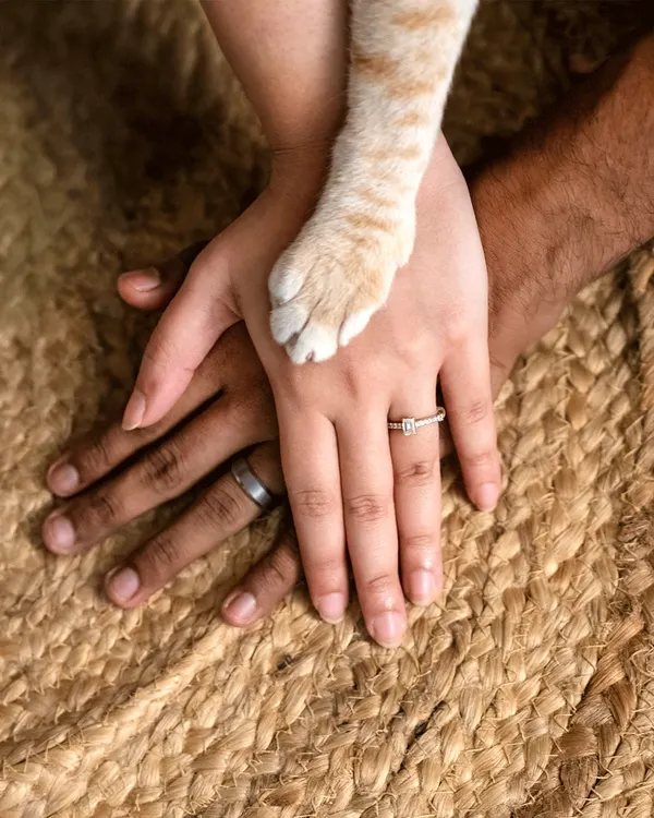 A symbolic and beautiful shot for an engagement announcement. The couple's hands are joined with their cat Toffee's paw placed gently on top, showing their unity as a family.