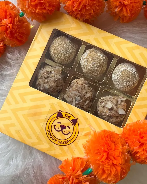 Getting ready for Diwali with dog-friendly laddoos! These are made from pet-safe ingredients so your furry friend can safely enjoy the festival of lights with the rest of the family.