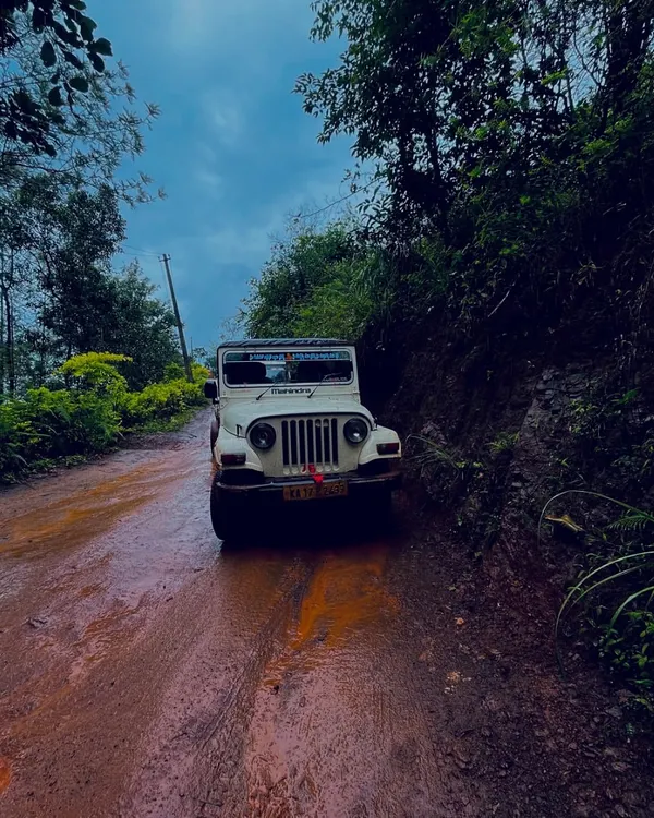 The journey to the top is half the adventure. Our off-road jeep safari in Chikmagalur takes you through rugged, muddy trails surrounded by dense greenery, a thrilling ride to the best viewpoints.