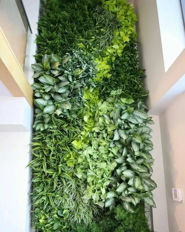 This is a large-scale indoor biowall, a living wall made of natural plants. It acts as a natural air purifier and a breathtaking feature piece, with different shades of green creating a tapestry of foliage.