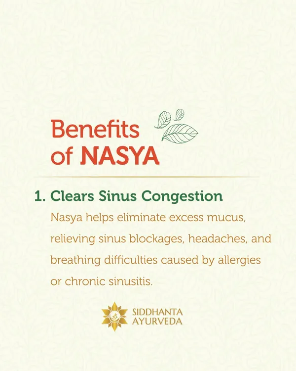 Nasya is a powerful therapy for issues above the neck. One of its primary benefits is clearing sinus congestion by helping to eliminate excess mucus, which relieves blockages and headaches.