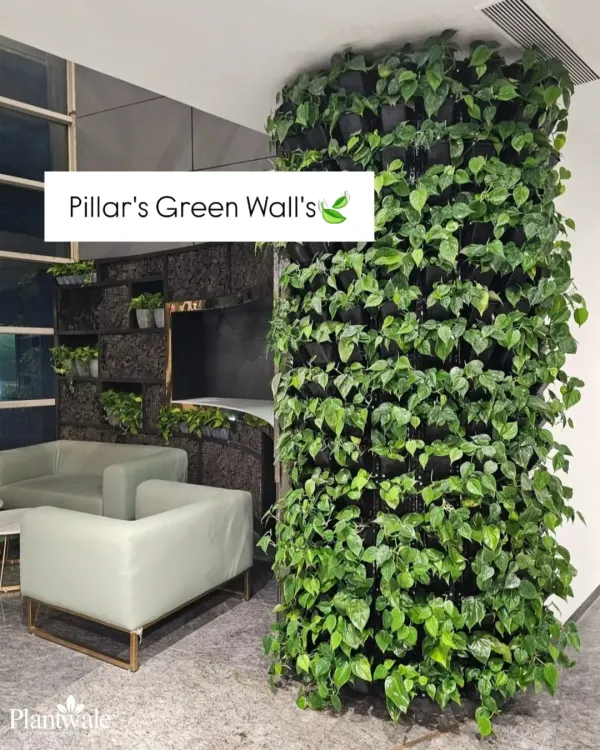 We specialize in integrating nature directly into your architecture. This green wall, wrapped around a structural pillar in an office lobby, turns a functional element into a stunning living feature, improving air quality and making a bold design statement.