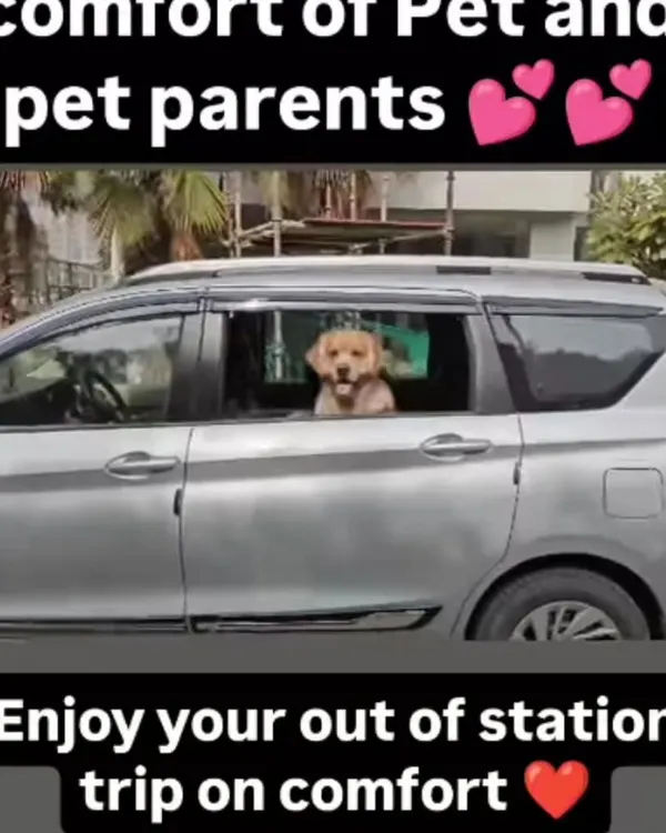 This is the comfort I promise for every trip. I've added a new Ertiga to my fleet, perfect for long outstation journeys, ensuring your pet travels in a spacious, air-conditioned, and clean environment.