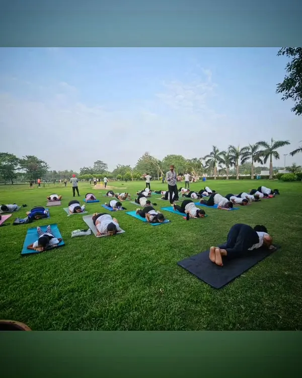 A wide view of our large outdoor yoga session, with students practicing Balasana (Child's Pose) together on the grass.