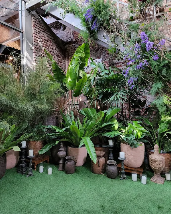 To build the wild forest theme for the Arpita Mehta and Kunal Rawal bash, we layered dozens of potted plants against an exposed brick wall. We mixed different heights and textures, using large Bird's Nest Ferns, wispy foliage, and touches of purple statice flowers to create a dense, natural look.