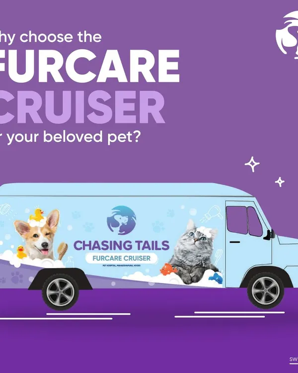 The Furcare Cruiser is my solution for modern pet parents. This illustration shows my commitment to bringing a complete, professional grooming service directly to you, saving you time and keeping your pet comfortable.