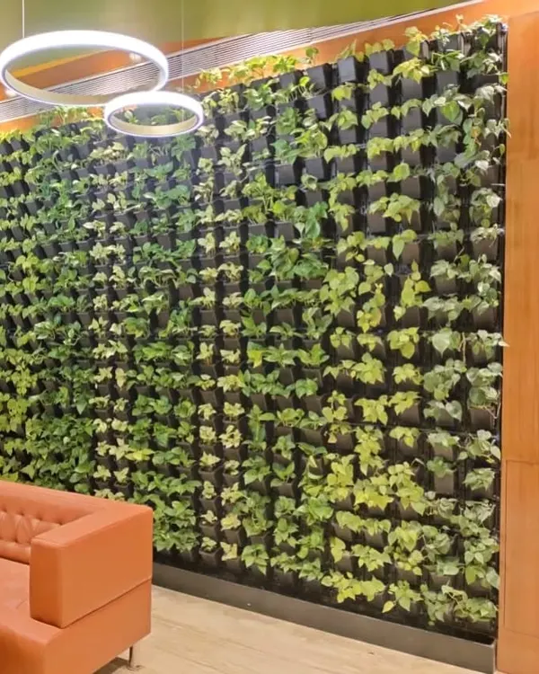 A living green wall acts as a stunning feature in this modern corporate office lobby in Andheri. It provides a natural, calming element to the workspace for employees and clients.