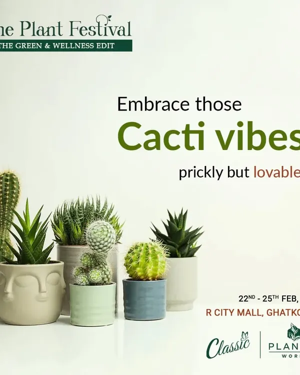 We're bringing all the prickly but lovable cacti vibes to The Plant Festival at R City Mall. Join us to explore the resilient world of cacti and succulents.