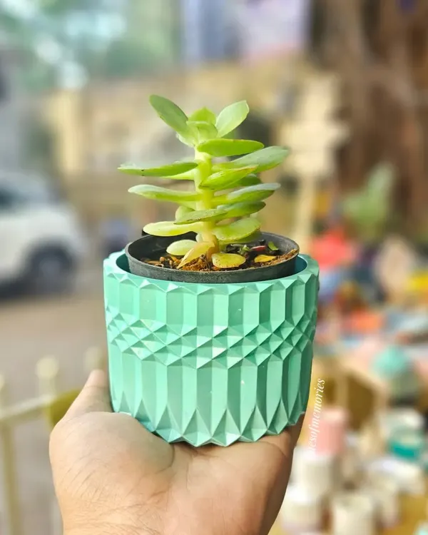 My eco-resin planters are perfect for adding a touch of green to your desk or balcony. This one, in a beautiful mint green, is waterproof and has a drainage hole for happy plants.