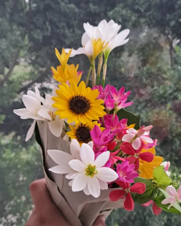 This beautiful bouquet is a perfect example of what you can create right on your own terrace. I picked these sunflowers, rain lilies, and madhumalti from my garden, and I can show you how to grow a vibrant flower patch of your own.