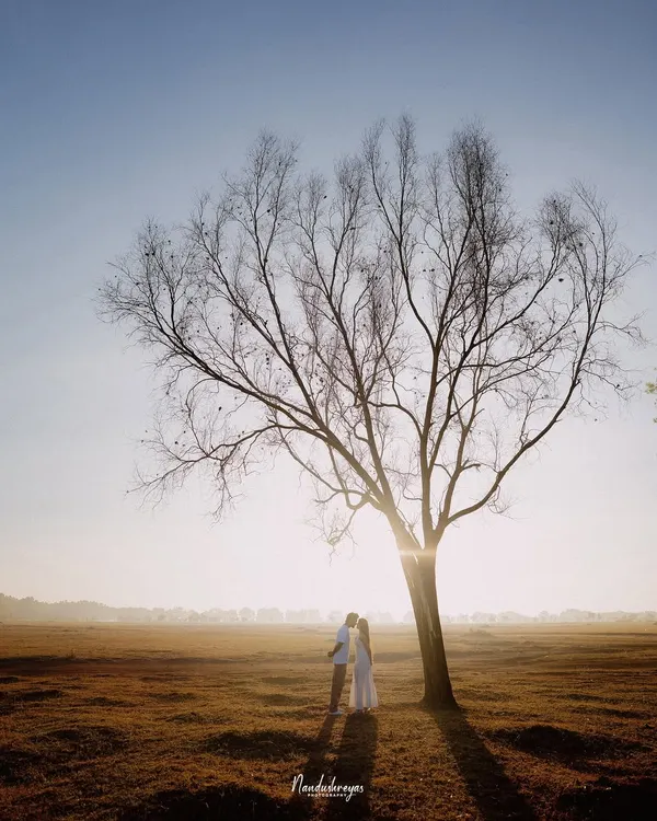 A silhouette of a couple under a vast, solitary tree at sunset, capturing a moment of quiet connection against an epic, golden-hour landscape. This is the kind of timeless, poetic frame I strive to create for your story.