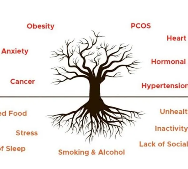 This visual illustrates the root causes of lifestyle diseases. It shows how factors like stress, poor diet, and inactivity are the roots of problems like heart disease, diabetes, and hormonal imbalance.