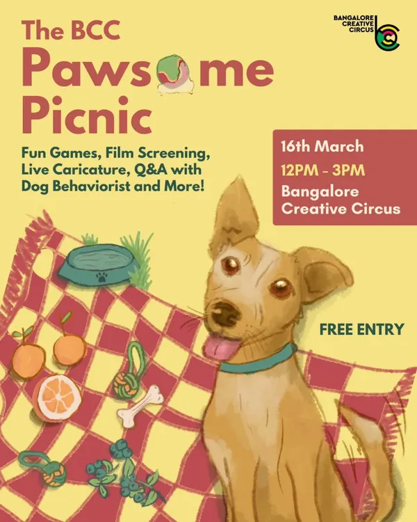 We were so excited to host The BCC Pawsome Picnic, a special day for our furry friends. This event featured fun games, a film screening, and a Q&A with a dog behaviorist.