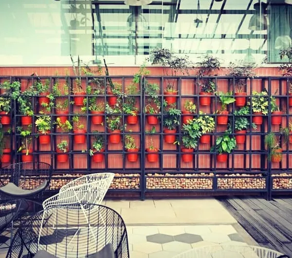 At the Sheraton Grand's Alfresco by Bene, we installed custom plant grids filled with terracotta pots. This modular system creates a beautiful and organized plant display, adding color and life to the restaurant's terrace seating area.