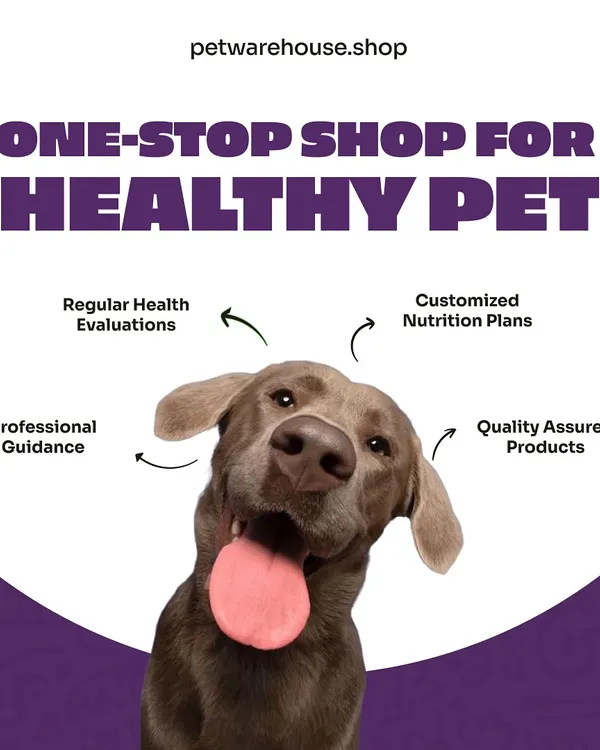 Our goal is to be your one-stop shop for a healthy pet. We provide professional guidance, regular health evaluations, customized nutrition plans, and quality-assured products to keep your pet thriving.