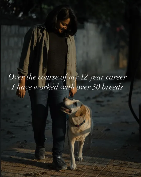 Over my 12-year career, I've had the privilege of working with over 50 different breeds. This experience has taught me the importance of a holistic, breed-specific approach to training.