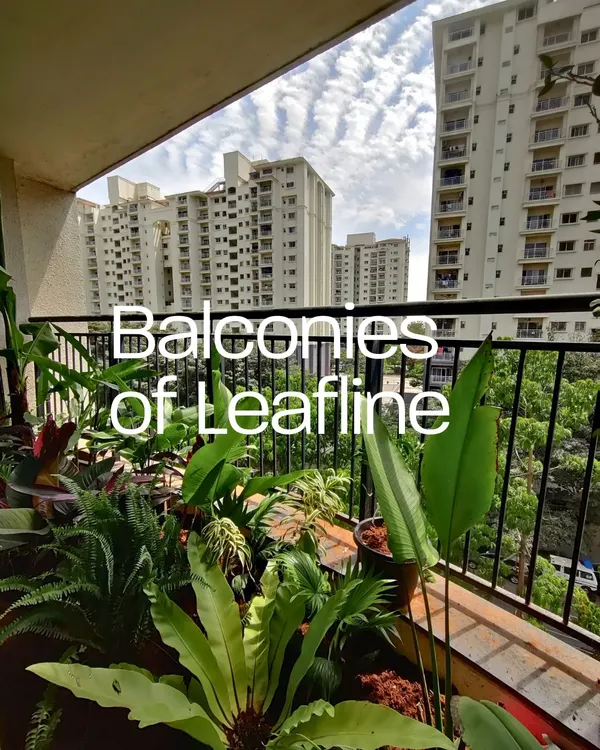 This balcony makeover showcases how a curated selection of tropical plants like ferns and birds of paradise can create a dense, jungle-like feel, offering a private escape with a stunning city view.