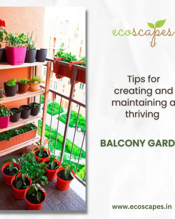 A well-organized balcony garden is achievable even in small spaces. We can help you set up shelving and select pots to maximize your growing area for flowers, herbs, and other plants.
