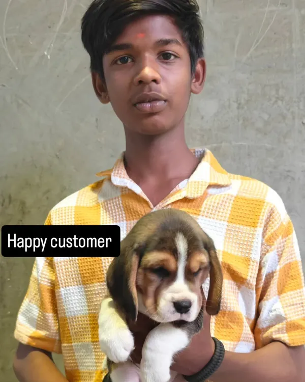 A happy customer with his new Beagle puppy. It is a serious commitment, but the reward is a loyal friend for life.