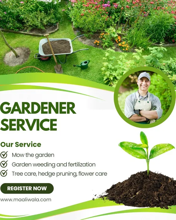 I offer a full range of gardener services to keep your green spaces in top shape. My work includes regular lawn mowing, thorough garden weeding and fertilization, and expert care for trees, hedges, and flowers. This ensures your garden stays healthy and beautiful all year round.