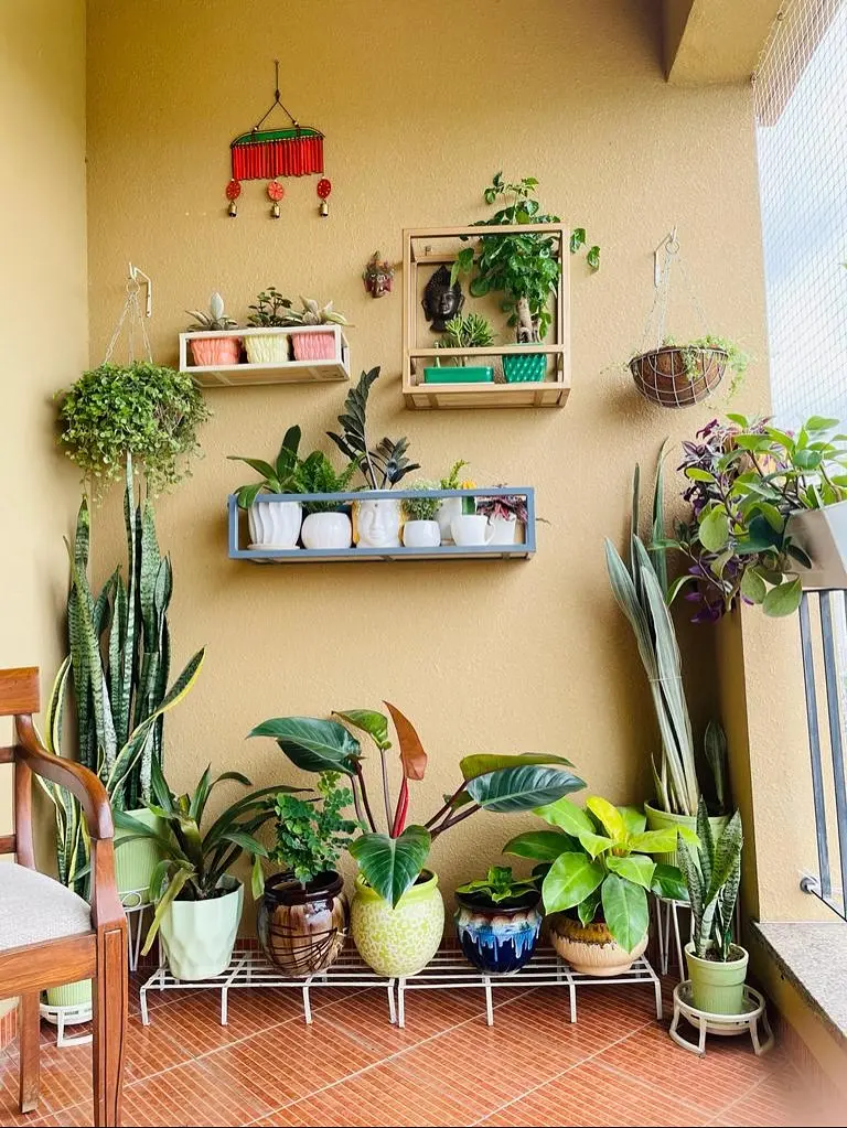 A balcony wall with five potted plants in mixed glazed pots on a long, low white metal stand, tall snake plants on the left, a hanging basket and a pot on a round stand on the right, and two wall shelves of small pots above